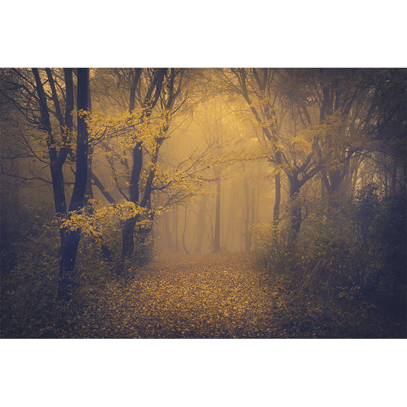 Whole Autumn Forest Mural Modern Mysterious Scenery Wall Art in Dark Color for Home Clearhalo 'Wall Decor' 'Wall Mural' 1895951