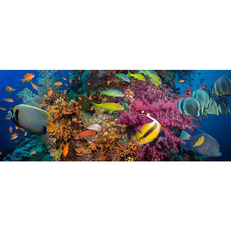 Tropical Underwater World Wallpaper Mural Colorful Moisture Resistant Wall Covering for Kids Room Clearhalo 'Wall Decor' 'Wall Mural' 1895966