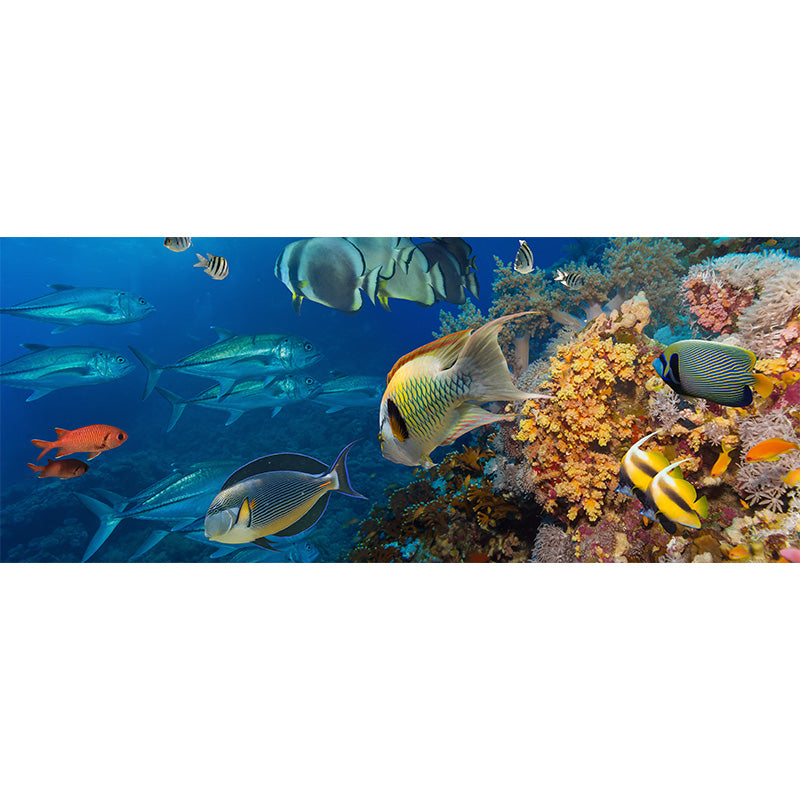 Tropical Underwater World Wallpaper Mural Colorful Moisture Resistant Wall Covering for Kids Room Clearhalo 'Wall Decor' 'Wall Mural' 1895971