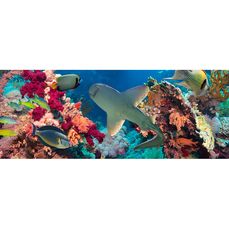 Tropical Underwater World Wallpaper Mural Colorful Moisture Resistant Wall Covering for Kids Room Clearhalo 'Wall Decor' 'Wall Mural' 1895981