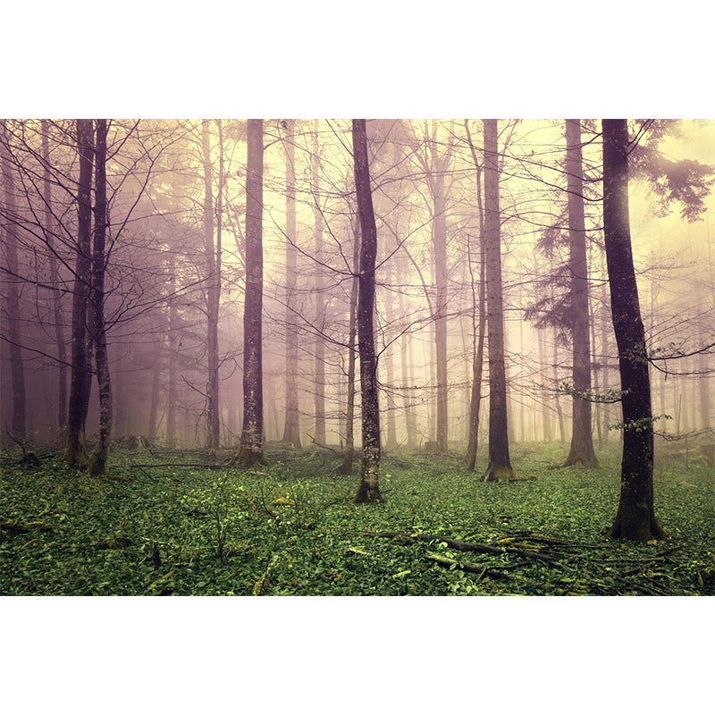 Big Foggy Forest Mural Decal Modern Mysterious Scenery Wall Covering in Pastel Color Clearhalo 'Wall Decor' 'Wall Mural' 1897131