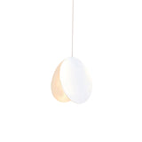 Contemporary Pendant Light with Circle Shade Metal Ceiling Pendant for Restaurant Clearhalo 'Ceiling Lights' 'Pendant Lights' 'Pendants' Lighting' 191750