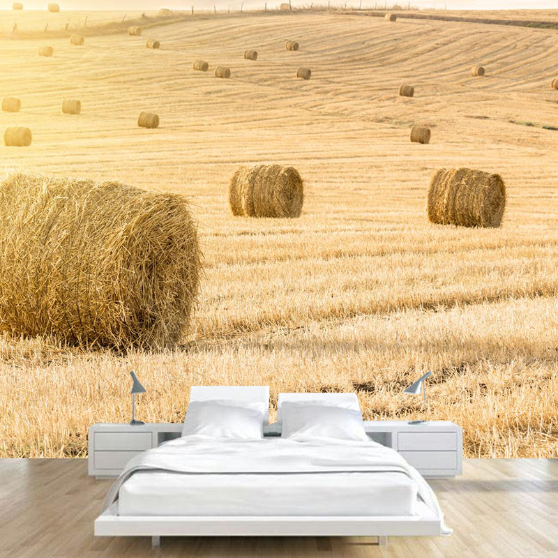 Vast Cornfield Wall Mural Contemporary Decorative Kitchen Wall Art, Custom Size Available Clearhalo 'Wall Decor' 'Wall Mural' 1957472