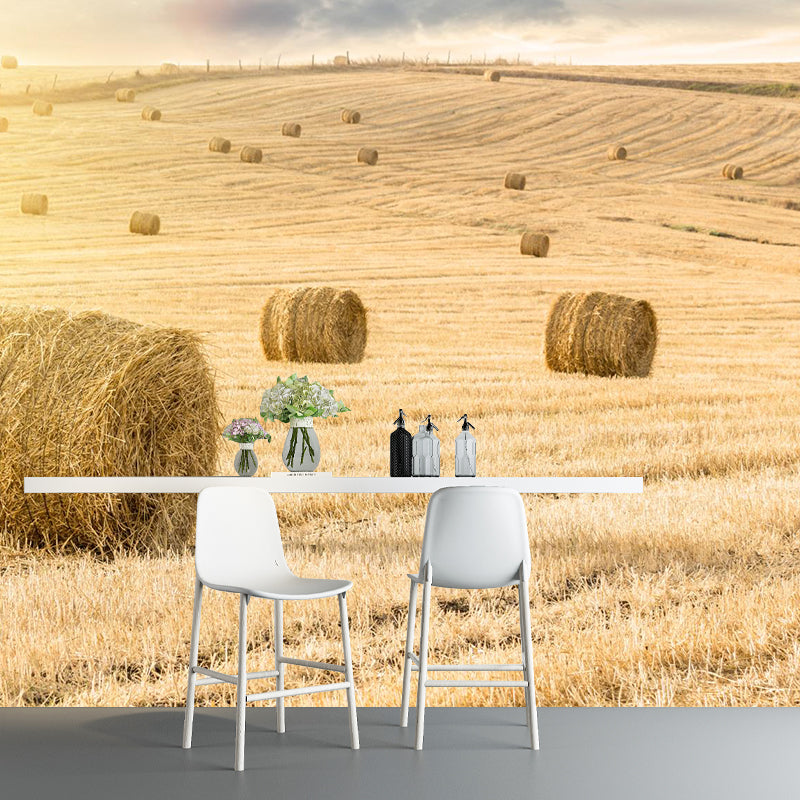 Vast Cornfield Wall Mural Contemporary Decorative Kitchen Wall Art, Custom Size Available Clearhalo 'Wall Decor' 'Wall Mural' 1957473