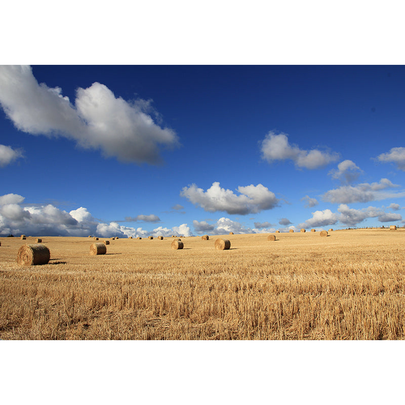 Modern Wheat Field Mural Decal Light Color Stain-Proofing Wall Decor for Sitting Room Clearhalo 'Wall Decor' 'Wall Mural' 1957519