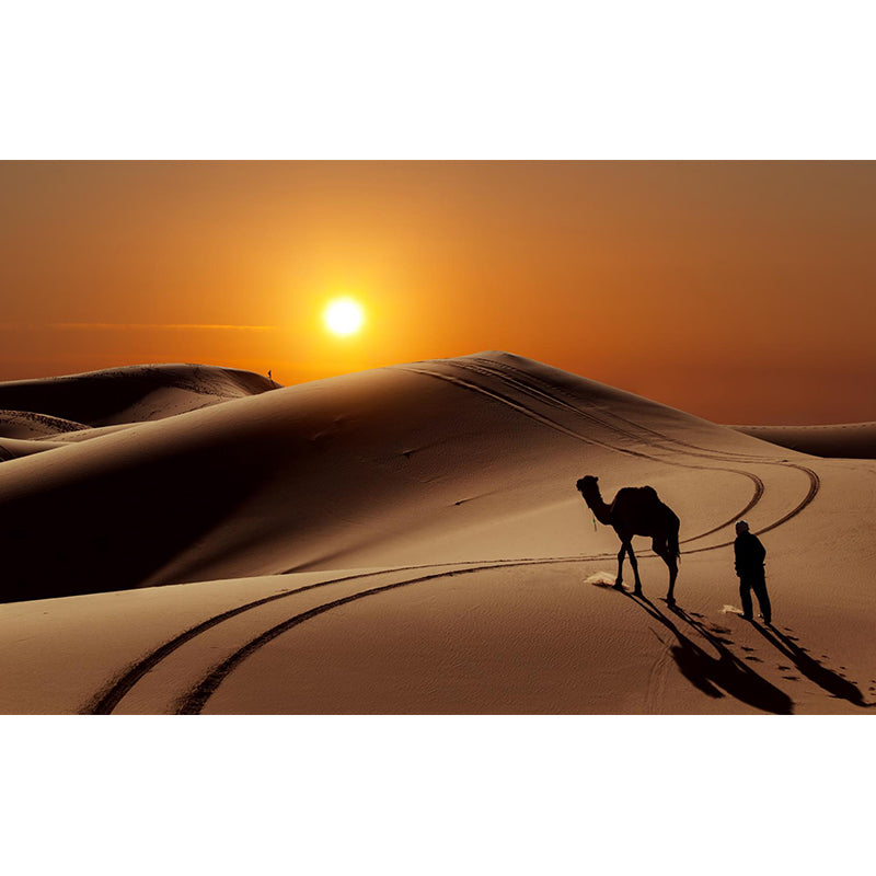 Big Desert Camel Mural Wallpaper Moisture Resistant Modern Bedroom Wall Covering Clearhalo 'Wall Decor' 'Wall Mural' 2009436