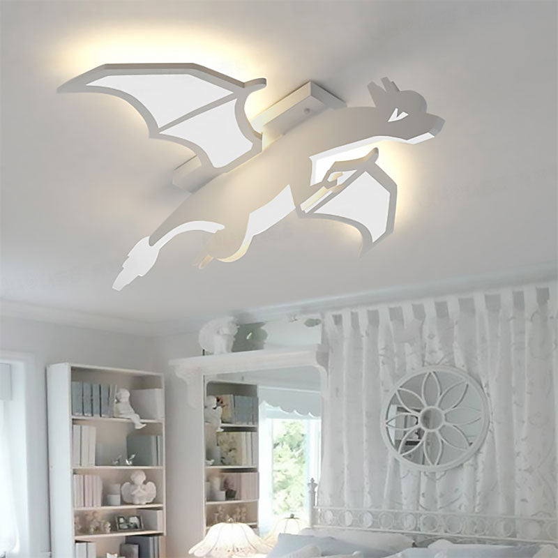 Boy light fashion fixtures