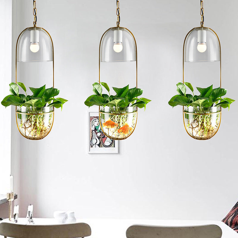 1��Bulb Pendant Light Antique Hemisphere Planter Clear Glass Hanging Light Fixture with Oblong Frame in Gold Clearhalo 'Ceiling Lights' 'Glass shade' 'Glass' 'Industrial Pendants' 'Industrial' 'Middle Century Pendants' 'Pendant Lights' 'Pendants' 'Tiffany' Lighting' 2063926