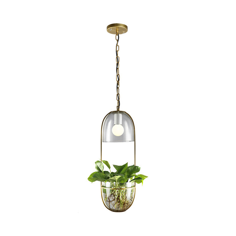 1��Bulb Pendant Light Antique Hemisphere Planter Clear Glass Hanging Light Fixture with Oblong Frame in Gold Clearhalo 'Ceiling Lights' 'Glass shade' 'Glass' 'Industrial Pendants' 'Industrial' 'Middle Century Pendants' 'Pendant Lights' 'Pendants' 'Tiffany' Lighting' 2063928