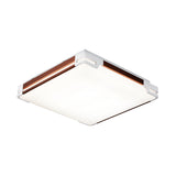 Thin Acrylic Ceiling Light Fixture Simplicity 20.5"/25"/35" Wide LED Brown Flushmount Lighting Clearhalo 'Ceiling Lights' 'Close To Ceiling Lights' 'Close to ceiling' 'Flush mount' Lighting' 214501