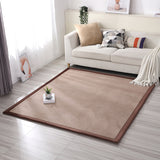 Comfort Multicolor Simple Rug Polypropylene Plain Area Rug Anti-Slip Backing Machine Washable Pet Friendly Carpet for Home Coffee Clearhalo 'Area Rug' 'Casual' 'Rugs' Rug' 2172317