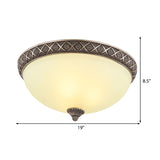 Bowl Frosted Glass Flush Mount Lamp Classic 5 Lights Living Room Ceiling Lighting in Brown Clearhalo 'Ceiling Lights' 'Close To Ceiling Lights' 'Close to ceiling' 'Flush mount' Lighting' 226693