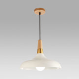 Swell Shade Commercial Pendant Lighting Nordic Metal 1 Bulb Ceiling Light for Restaurant Clearhalo 'Ceiling Lights' 'Pendant Lights' 'Pendants' Lighting' 2307393