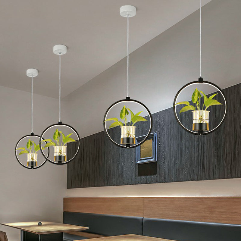 Nordic Circular LED Ceiling Pendant Acrylic Dining Room Suspension Lamp with Glass Plant Bucket Clearhalo 'Ceiling Lights' 'Pendant Lights' 'Pendants' Lighting' 2385330