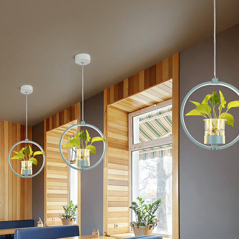 Nordic Circular LED Ceiling Pendant Acrylic Dining Room Suspension Lamp with Glass Plant Bucket Clearhalo 'Ceiling Lights' 'Pendant Lights' 'Pendants' Lighting' 2385332