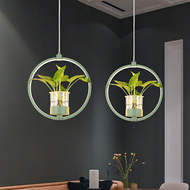 Nordic Circular LED Ceiling Pendant Acrylic Dining Room Suspension Lamp with Glass Plant Bucket Clearhalo 'Ceiling Lights' 'Pendant Lights' 'Pendants' Lighting' 2385336