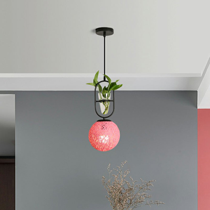 Single-Bulb Spherical Pendulum Light Decorative Rattan Hanging Lamp with Cone Glass Plant Container Peach Clearhalo 'Ceiling Lights' 'Pendant Lights' 'Pendants' Lighting' 2385464