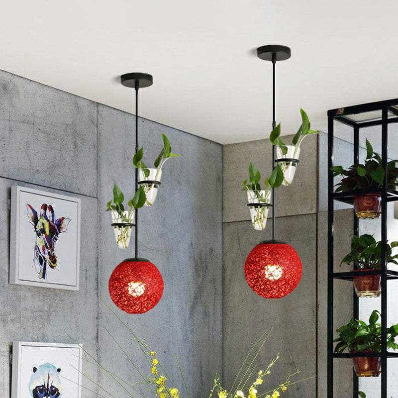 Single-Bulb Spherical Pendulum Light Decorative Rattan Hanging Lamp with Cone Glass Plant Container Red Clearhalo 'Ceiling Lights' 'Pendant Lights' 'Pendants' Lighting' 2385465