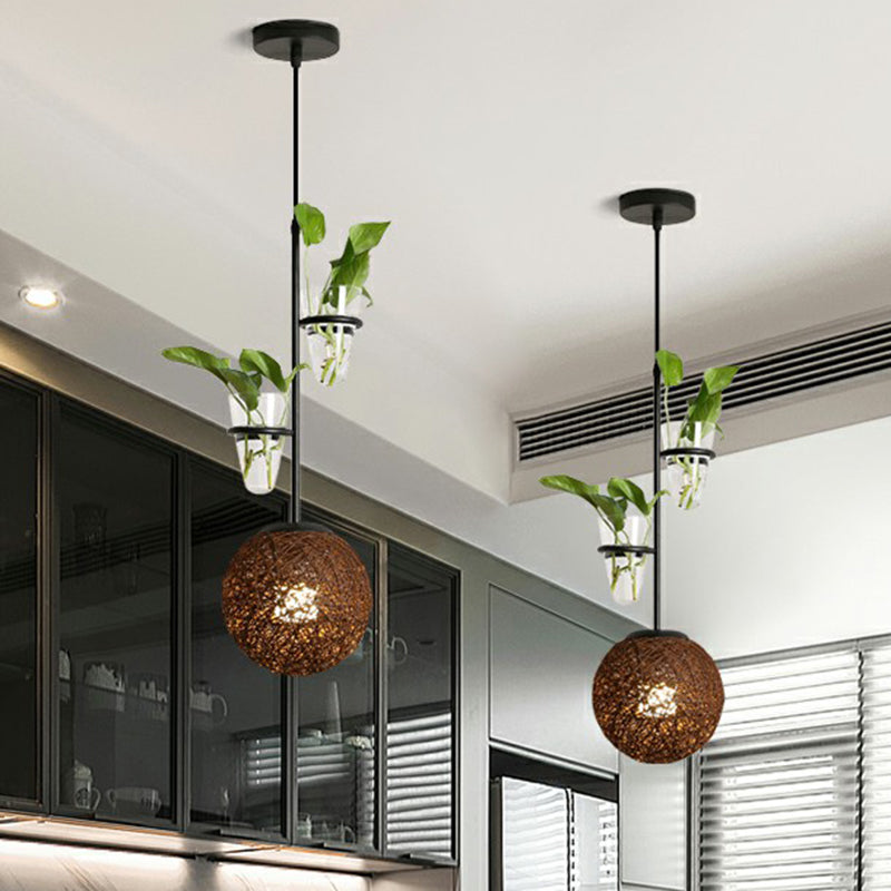 Single-Bulb Spherical Pendulum Light Decorative Rattan Hanging Lamp with Cone Glass Plant Container Brown Clearhalo 'Ceiling Lights' 'Pendant Lights' 'Pendants' Lighting' 2385468