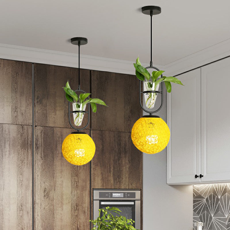 Single-Bulb Spherical Pendulum Light Decorative Rattan Hanging Lamp with Cone Glass Plant Container Yellow Clearhalo 'Ceiling Lights' 'Pendant Lights' 'Pendants' Lighting' 2385469