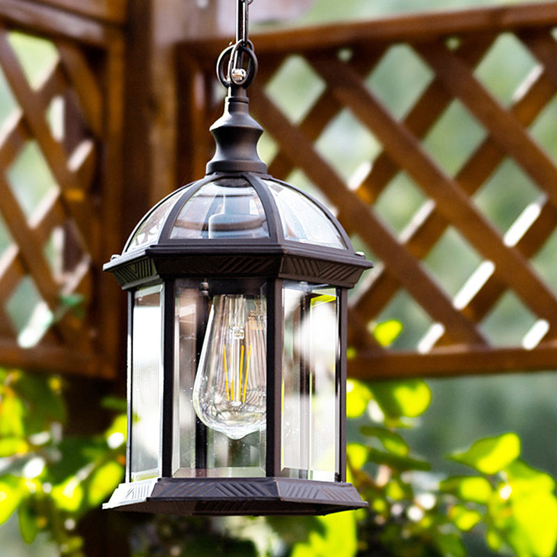 Clear Glass Birdcage Suspension Light Vintage 1-Light Outdoor Hanging Pendant Light Clearhalo 'Ceiling Lights' 'Pendant Lights' 'Pendants' Lighting' 2408440