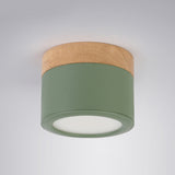 Cylinder Flush Mount Ceiling Fixture Nordic Style LED Metal Flush Ceiling Light Fixture Green Clearhalo 'Ceiling Lights' 'Close To Ceiling Lights' 'Lighting' 2604619