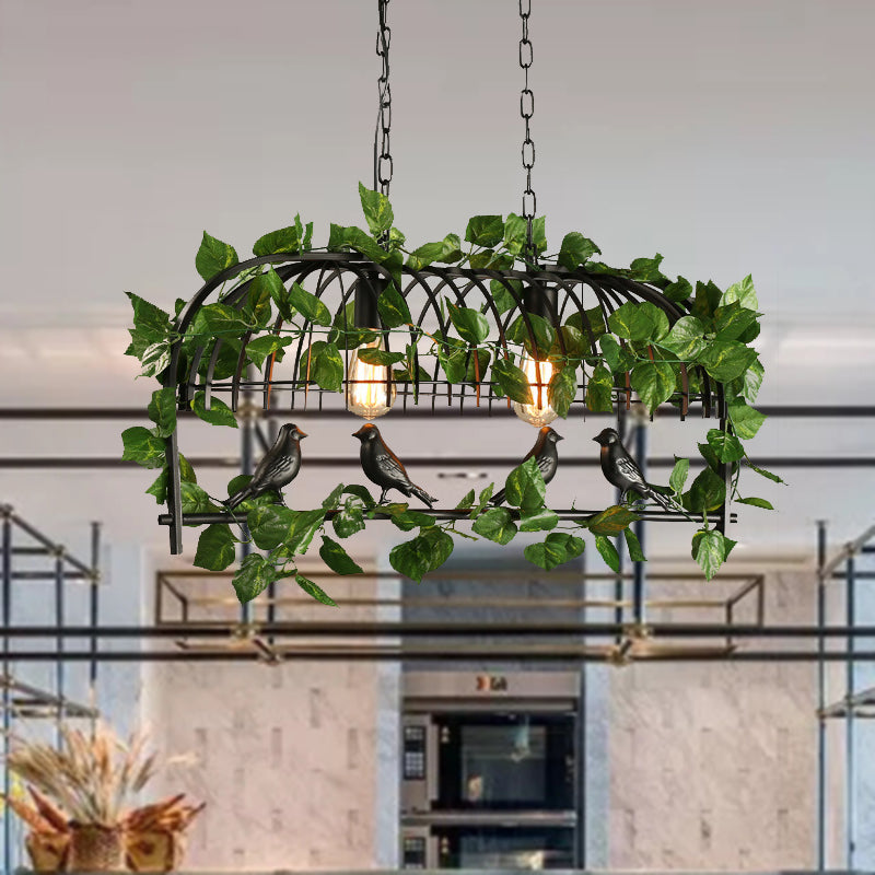 Retro Birdcage Island Light Fixture 2/3/4 Bulbs Metal LED Plant Ceiling Suspension Lamp in Black Clearhalo 'Ceiling Lights' 'Island Lights' Lighting' 391780