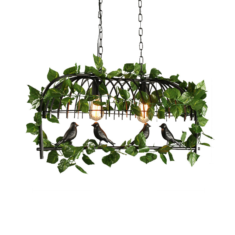 Retro Birdcage Island Light Fixture 2/3/4 Bulbs Metal LED Plant Ceiling Suspension Lamp in Black Clearhalo 'Ceiling Lights' 'Island Lights' Lighting' 391781