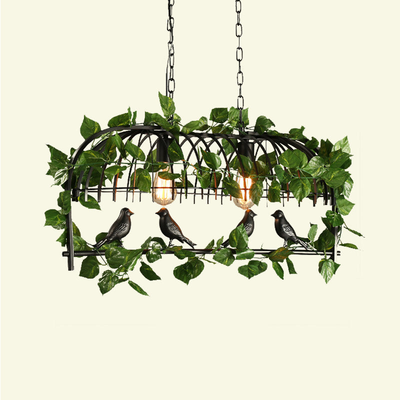 Retro Birdcage Island Light Fixture 2/3/4 Bulbs Metal LED Plant Ceiling Suspension Lamp in Black Clearhalo 'Ceiling Lights' 'Island Lights' Lighting' 391782