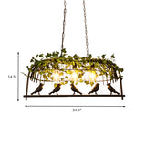 Retro Birdcage Island Light Fixture 2/3/4 Bulbs Metal LED Plant Ceiling Suspension Lamp in Black Clearhalo 'Ceiling Lights' 'Island Lights' Lighting' 391787