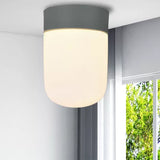 Capsule Corridor Flush Mount Light Modernist Metal and Frosted Glass 1 Light Pink/Gray Ceiling Lighting Clearhalo 'Ceiling Lights' 'Close To Ceiling Lights' 'Close to ceiling' 'Flush mount' Lighting' 467480