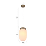 Modern Capsule Pendant Light Smoke Gray/White Prismatic Glass 1 Light Ceiling Light for Kitchen Island Clearhalo 'Ceiling Lights' 'Modern Pendants' 'Modern' 'Pendant Lights' 'Pendants' Lighting' 512803