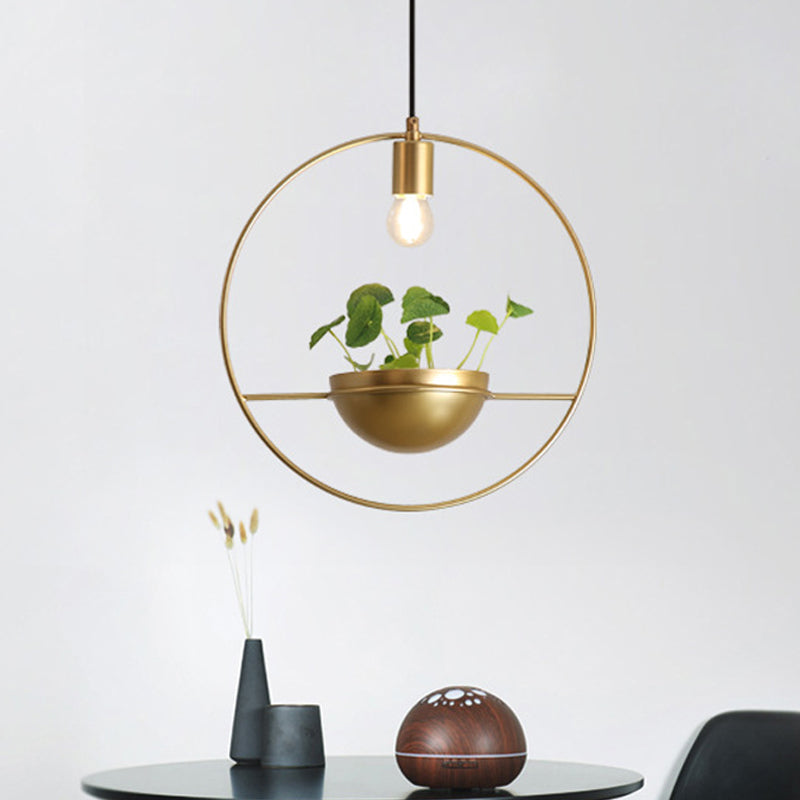 Gold 1 Head Pendant Lamp Industrial Metal Round Hanging Ceiling Light with Plant Decoration Clearhalo 'Art Deco Pendants' 'Cast Iron' 'Ceiling Lights' 'Ceramic' 'Crystal' 'Industrial Pendants' 'Industrial' 'Metal' 'Middle Century Pendants' 'Pendant Lights' 'Pendants' 'Tiffany' Lighting' 519159