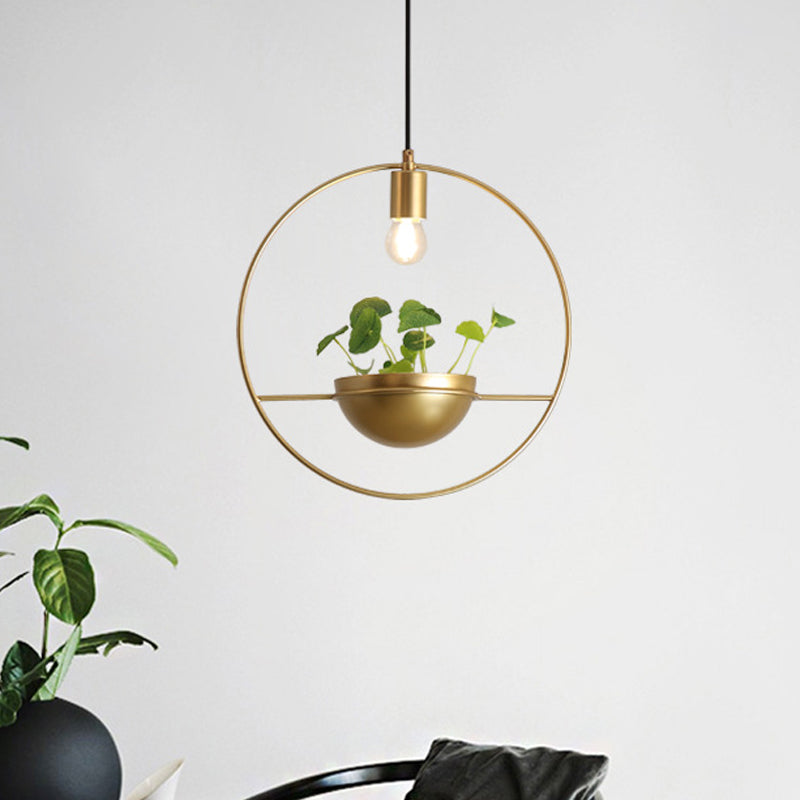 Gold 1 Head Pendant Lamp Industrial Metal Round Hanging Ceiling Light with Plant Decoration Clearhalo 'Art Deco Pendants' 'Cast Iron' 'Ceiling Lights' 'Ceramic' 'Crystal' 'Industrial Pendants' 'Industrial' 'Metal' 'Middle Century Pendants' 'Pendant Lights' 'Pendants' 'Tiffany' Lighting' 519160