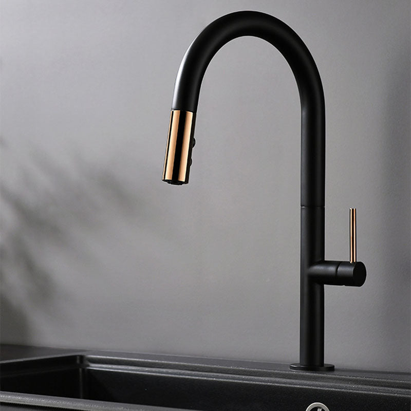 Industrial Style Faucet Centerset Faucets with Lever Handles Gold-Black Clearhalo 'Bathroom Remodel & Bathroom Fixtures' 'Bathroom Sink Faucets' 'Bathroom Sinks & Faucet Components' 'bathroom_sink_faucets' 'Home Improvement' 'home_improvement' 'home_improvement_bathroom_sink_faucets' 6140205
