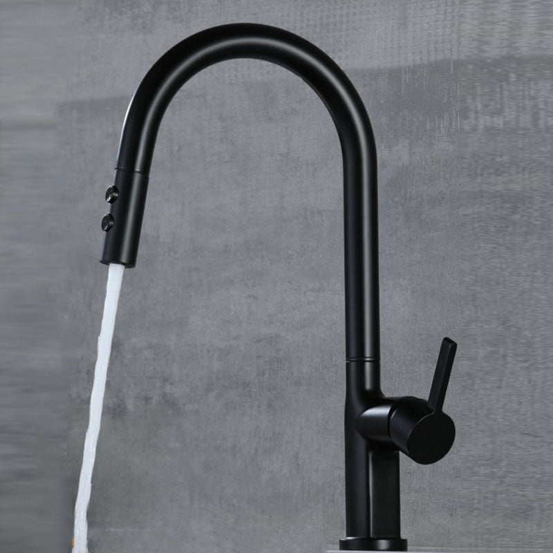 Industrial Style Faucet Centerset Faucets with Lever Handles Black Clearhalo 'Bathroom Remodel & Bathroom Fixtures' 'Bathroom Sink Faucets' 'Bathroom Sinks & Faucet Components' 'bathroom_sink_faucets' 'Home Improvement' 'home_improvement' 'home_improvement_bathroom_sink_faucets' 6140208