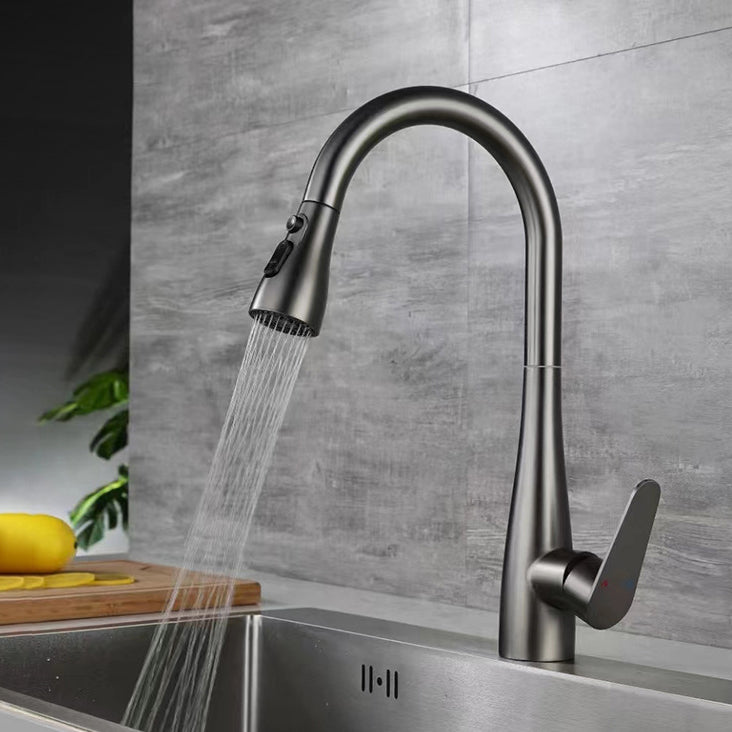 Modern Pot Filler Stainless Steel Pull down Faucet Swivel Spout Kitchen Bar Faucet Grey Clearhalo 'Home Improvement' 'home_improvement' 'home_improvement_kitchen_faucets' 'Kitchen Faucets' 'Kitchen Remodel & Kitchen Fixtures' 'Kitchen Sinks & Faucet Components' 'kitchen_faucets' 6211658