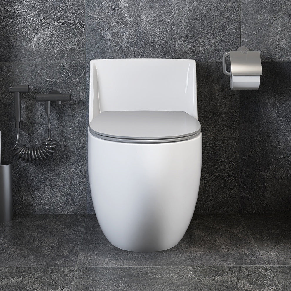 Modern Elongated Toilet Bowl Siphon Jet Flush Toilet with Seat Clearhalo 'Bathroom Remodel & Bathroom Fixtures' 'Home Improvement' 'home_improvement' 'home_improvement_toilets' 'Toilets & Bidets' 'Toilets' 6212742