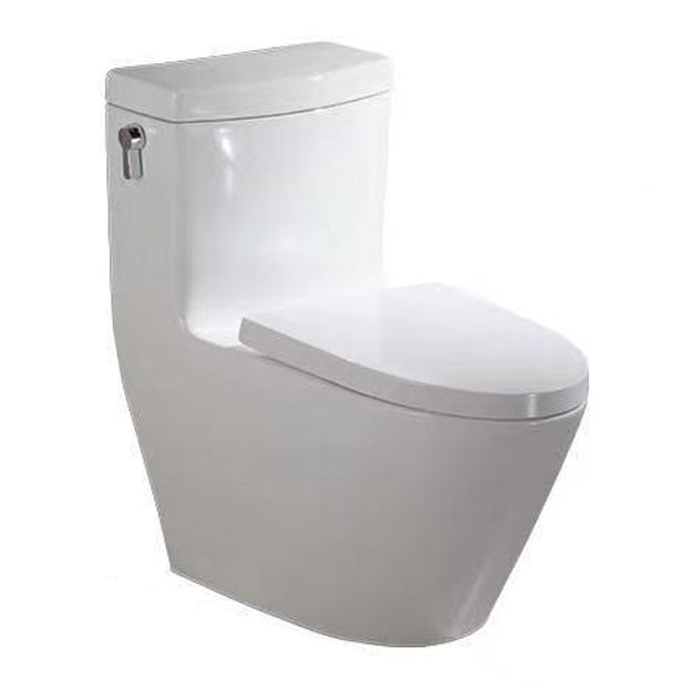 Traditional Porcelain Toilet One Piece Floor Mounted Siphon Jet Toilet -  Clearhalo