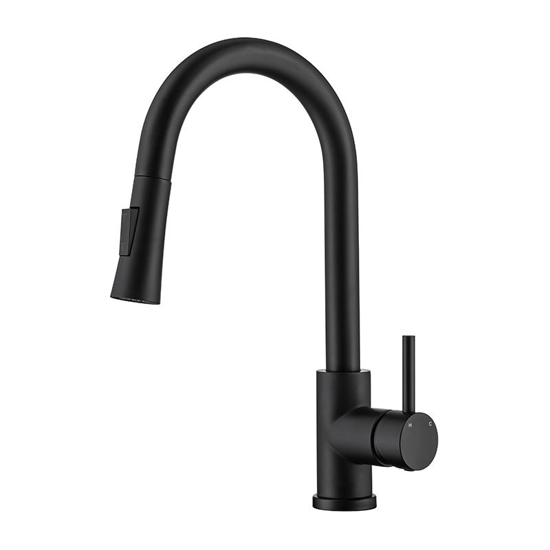 Modern Style Retractable Vessel Faucet Single Handle Stainless Steel Vessel Faucet Black Clearhalo 'Bathroom Remodel & Bathroom Fixtures' 'Bathroom Sink Faucets' 'Bathroom Sinks & Faucet Components' 'bathroom_sink_faucets' 'Home Improvement' 'home_improvement' 'home_improvement_bathroom_sink_faucets' 6284737