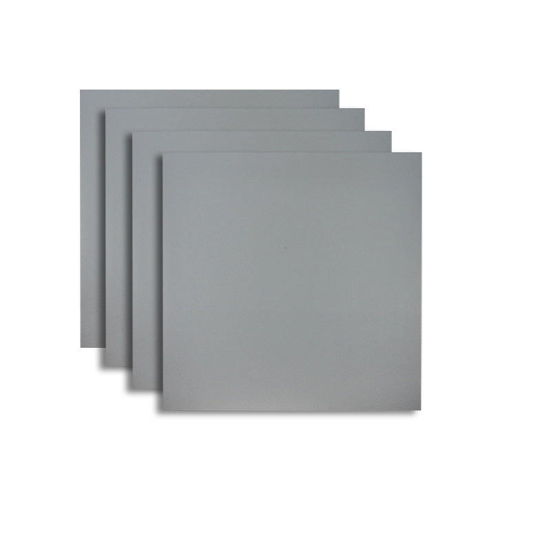 Square Cement Singular Tile Vintage Singular Tile for Floor (4-Pack) Light Gray Clearhalo 'Floor Tiles & Wall Tiles' 'floor_tiles_wall_tiles' 'Flooring 'Home Improvement' 'home_improvement' 'home_improvement_floor_tiles_wall_tiles' Walls and Ceiling' 6299478