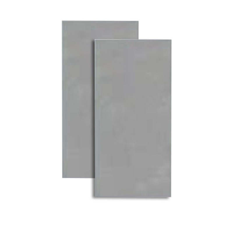 Retangular Ceramic Singular Tile Stone Pattern Singular Tile for Floor (2-Pack) Light Gray 30"L x 59"W x 0.4"H Clearhalo 'Floor Tiles & Wall Tiles' 'floor_tiles_wall_tiles' 'Flooring 'Home Improvement' 'home_improvement' 'home_improvement_floor_tiles_wall_tiles' Walls and Ceiling' 6299549