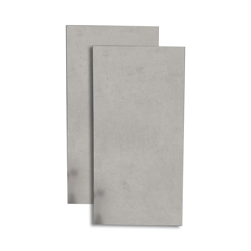 Retangular Ceramic 23.62"x47.24" Tile No Pattern Singular Tile for Floor (2-Pack) Grey Clearhalo 'Floor Tiles & Wall Tiles' 'floor_tiles_wall_tiles' 'Flooring 'Home Improvement' 'home_improvement' 'home_improvement_floor_tiles_wall_tiles' Walls and Ceiling' 6316308