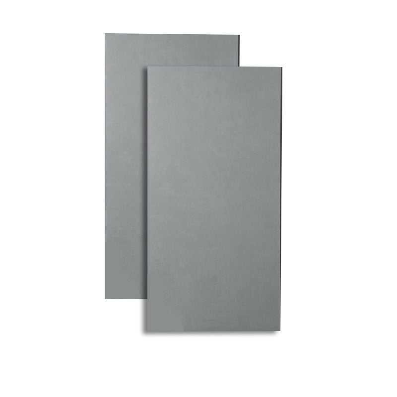 Retangular Ceramic 23.62"x47.24" Tile No Pattern Singular Tile for Floor (2-Pack) Silver Gray Clearhalo 'Floor Tiles & Wall Tiles' 'floor_tiles_wall_tiles' 'Flooring 'Home Improvement' 'home_improvement' 'home_improvement_floor_tiles_wall_tiles' Walls and Ceiling' 6316320