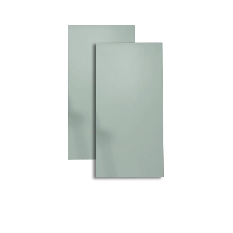 Retangular Ceramic 23.62"x47.24" Tile No Pattern Singular Tile for Floor (2-Pack) Light Green Clearhalo 'Floor Tiles & Wall Tiles' 'floor_tiles_wall_tiles' 'Flooring 'Home Improvement' 'home_improvement' 'home_improvement_floor_tiles_wall_tiles' Walls and Ceiling' 6316329