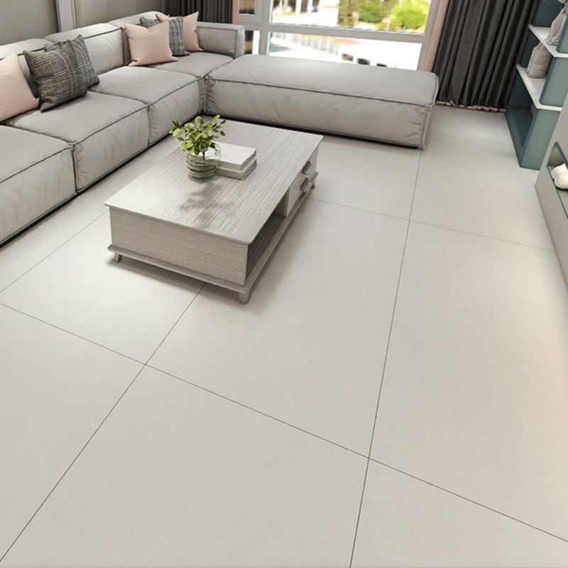 Retangular Porcelain Singular Tile Matte Singular Tile for Floor (2-Pack) Clearhalo 'Floor Tiles & Wall Tiles' 'floor_tiles_wall_tiles' 'Flooring 'Home Improvement' 'home_improvement' 'home_improvement_floor_tiles_wall_tiles' Walls and Ceiling' 6316335