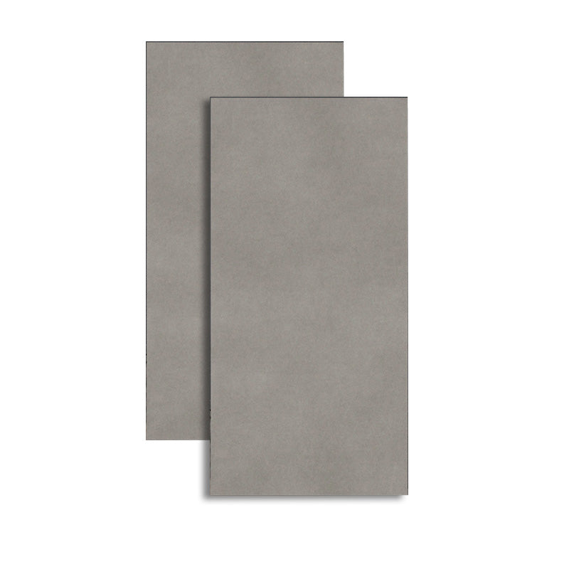 Retangular Porcelain Singular Tile Matte Singular Tile for Floor (2-Pack) Grey Clearhalo 'Floor Tiles & Wall Tiles' 'floor_tiles_wall_tiles' 'Flooring 'Home Improvement' 'home_improvement' 'home_improvement_floor_tiles_wall_tiles' Walls and Ceiling' 6316336