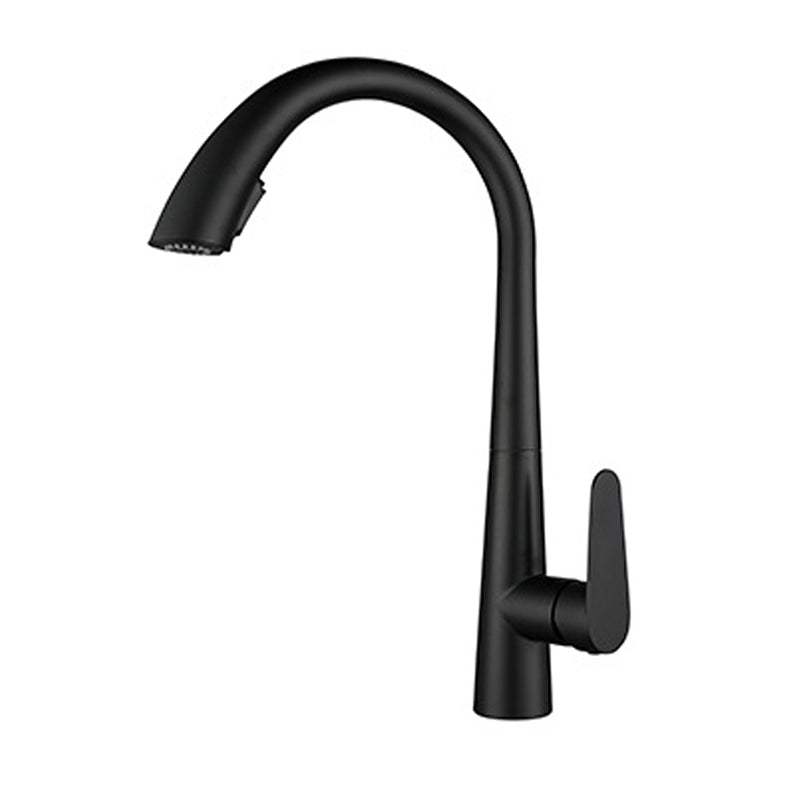 Modern Style Kitchen Faucet 304 Stainless Steel Single Handle Gooseneck Kitchen Faucet Black Clearhalo 'Home Improvement' 'home_improvement' 'home_improvement_kitchen_faucets' 'Kitchen Faucets' 'Kitchen Remodel & Kitchen Fixtures' 'Kitchen Sinks & Faucet Components' 'kitchen_faucets' 6327617