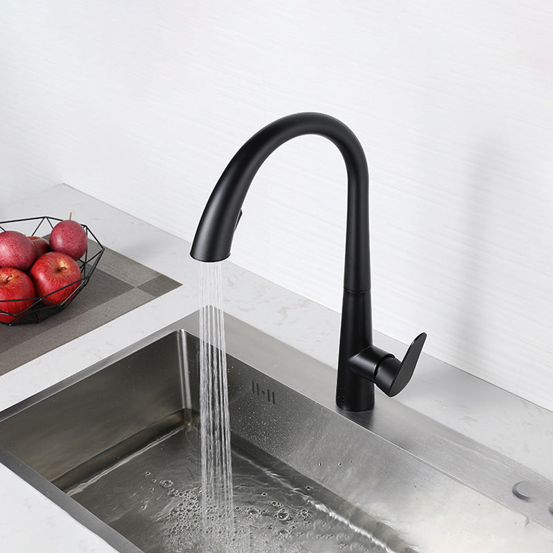 Modern Style Kitchen Faucet Stainless Steel Single Handle Gooseneck Kitchen Faucet Black Clearhalo 'Home Improvement' 'home_improvement' 'home_improvement_kitchen_faucets' 'Kitchen Faucets' 'Kitchen Remodel & Kitchen Fixtures' 'Kitchen Sinks & Faucet Components' 'kitchen_faucets' 6327636