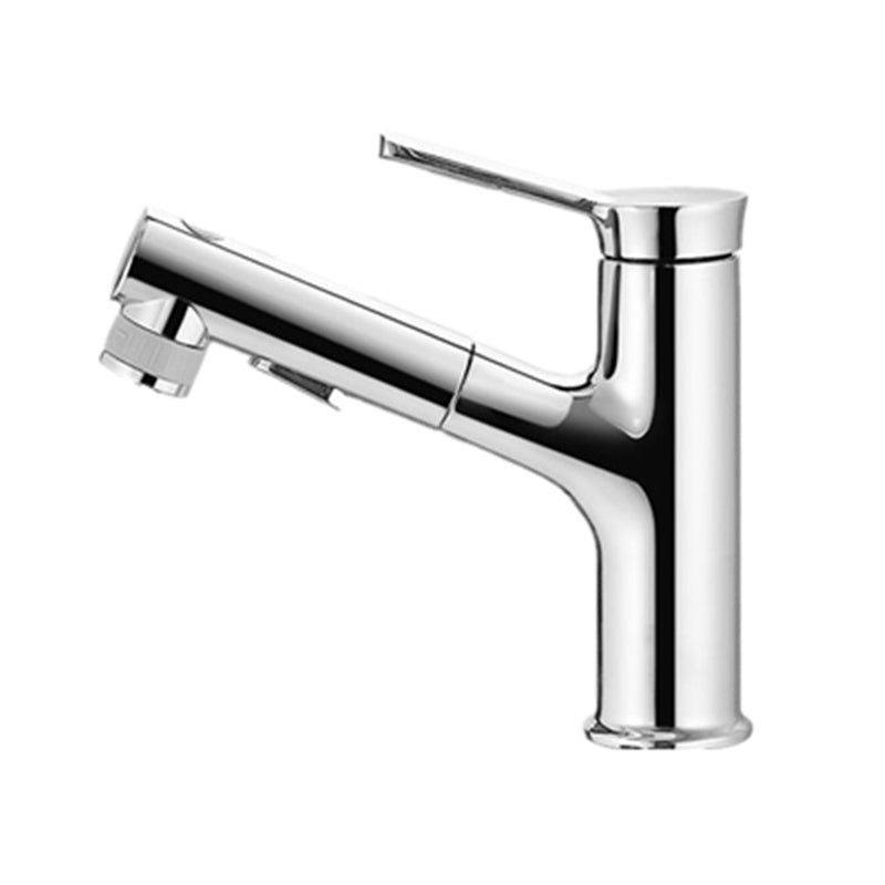 Modern Design Bathroom Faucet Single Handle Faucet with Water Hose Clearhalo 'Bathroom Remodel & Bathroom Fixtures' 'Bathroom Sink Faucets' 'Bathroom Sinks & Faucet Components' 'bathroom_sink_faucets' 'Home Improvement' 'home_improvement' 'home_improvement_bathroom_sink_faucets' 6352945